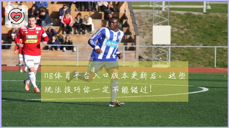 ng体育平台入口版本更新后，这些玩法技巧你一定不能错过！
