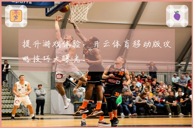 提升游戏体验，开云体育移动版攻略技巧大曝光！