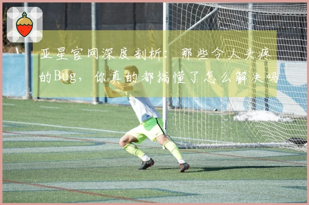 亚星官网深度剖析：那些令人头疼的Bug，你真的都搞懂了怎么解决吗？