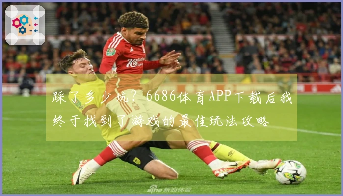 踩了多少坑？6686体育APP下载后我终于找到了游戏的最佳玩法攻略