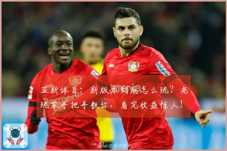 亚新体育：新版本到底怎么玩？老玩家手把手教你，看完收益惊人！