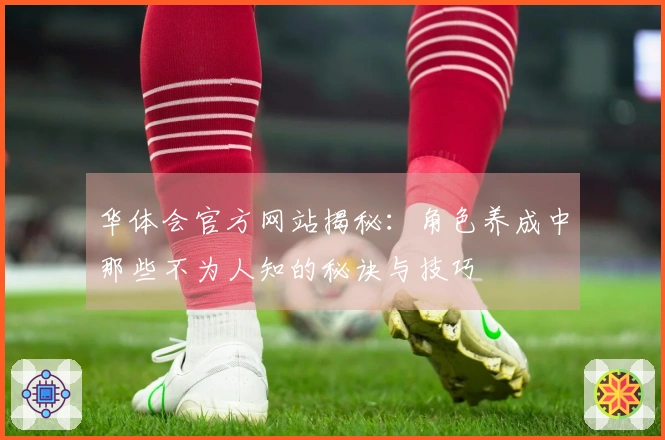 华体会官方网站揭秘：角色养成中那些不为人知的秘诀与技巧