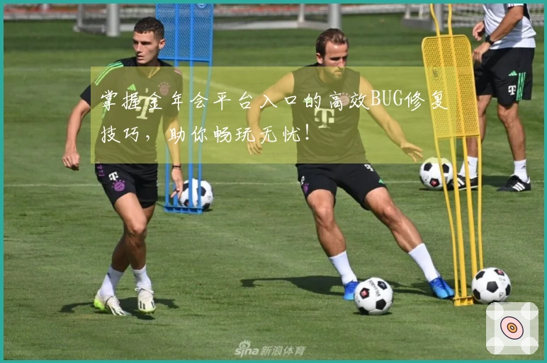 掌握金年会平台入口的高效BUG修复技巧，助你畅玩无忧！