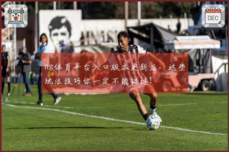 ng体育平台入口版本更新后，这些玩法技巧你一定不能错过！